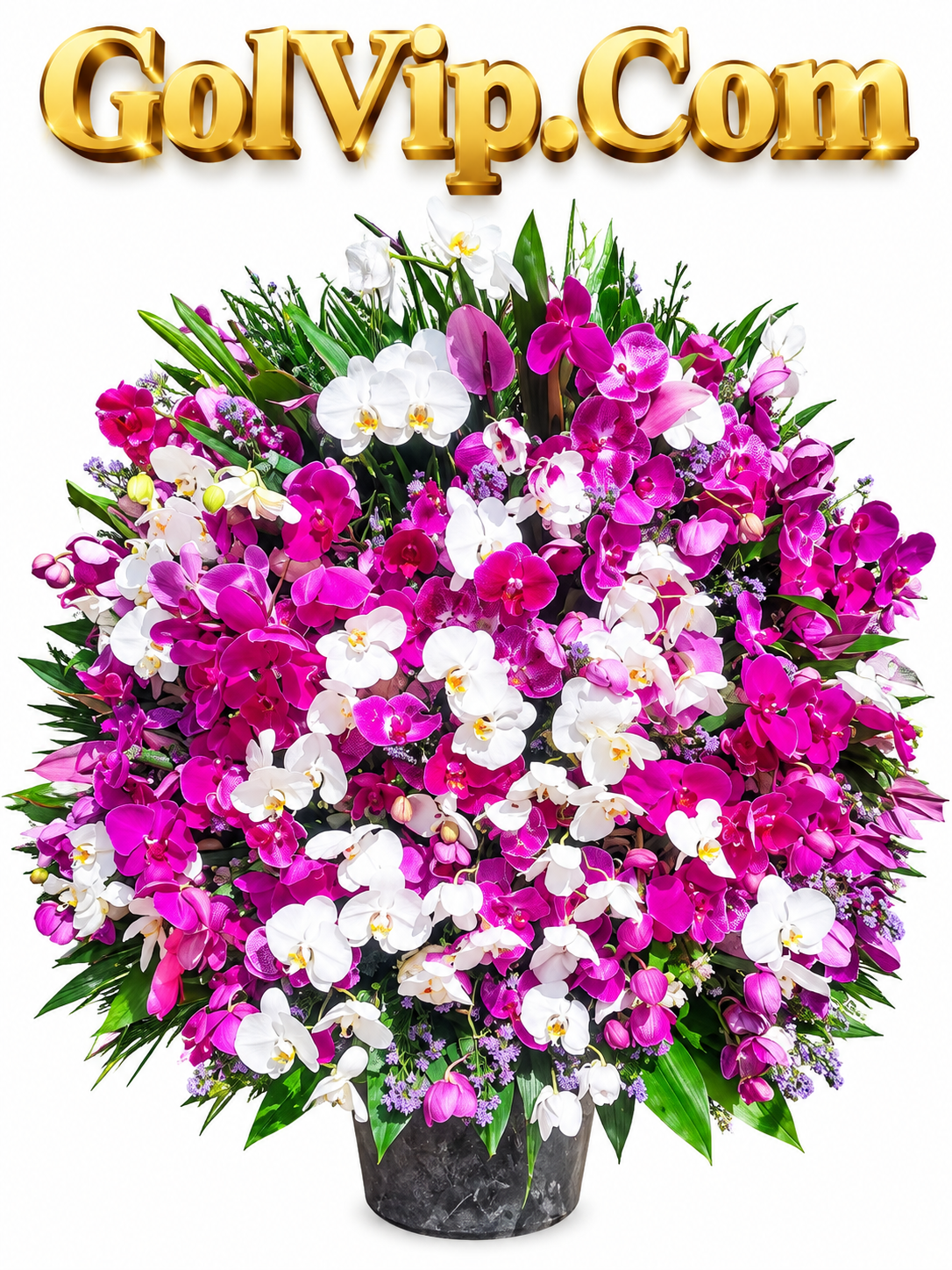 باکس گل رز طبیعی هدیه‌ای لوکس، عاشقانه و ماندگار